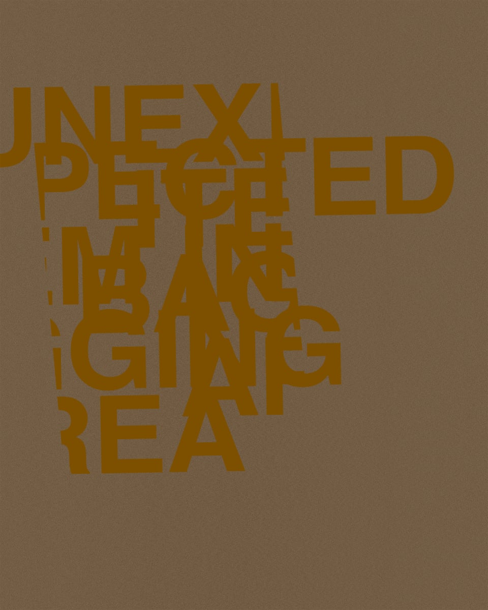 UNEXPECTED ITEM IN BAGGING AREA by Chris Horner 