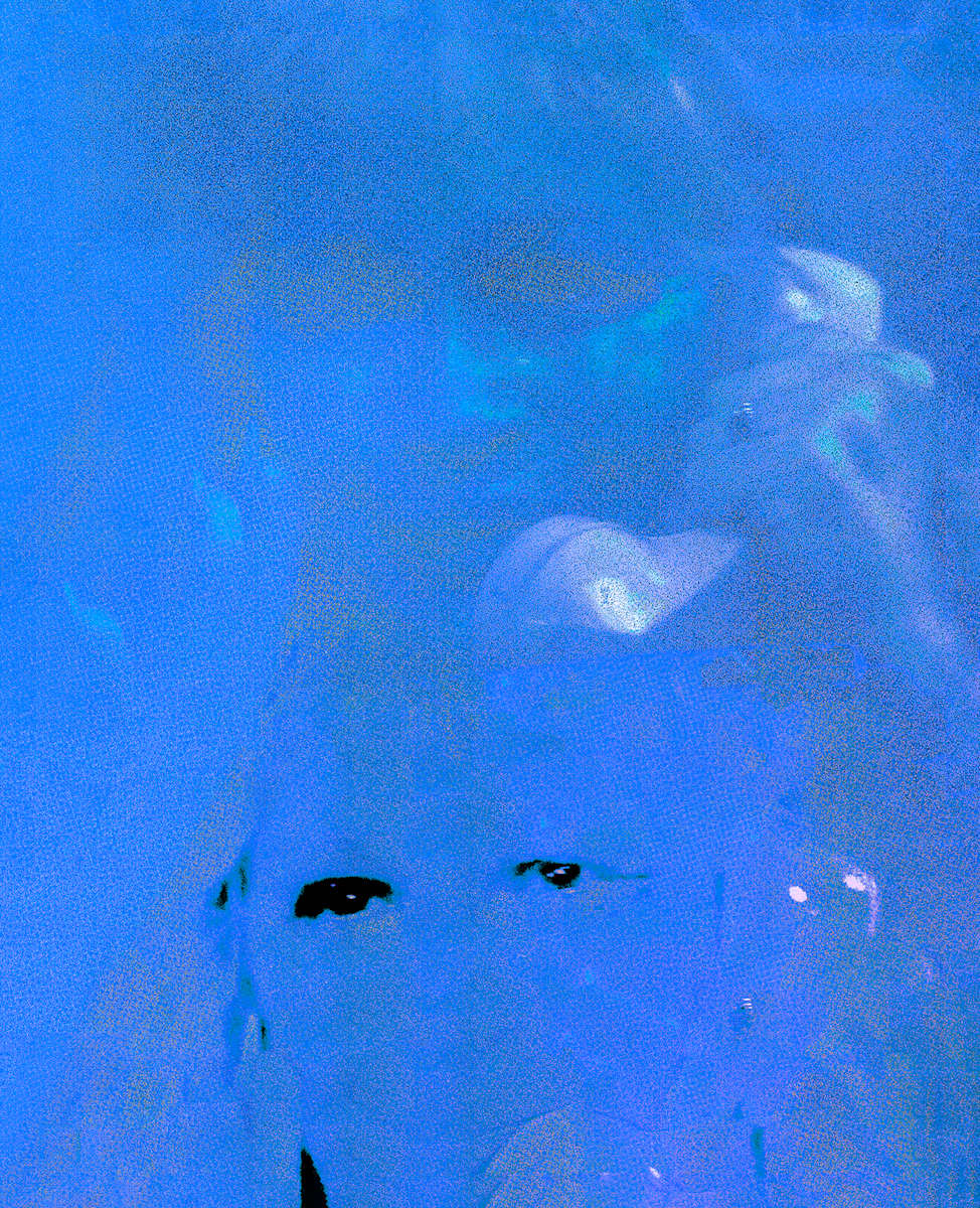 You Never Call (long distance blue) by Chris Horner, Image 4.