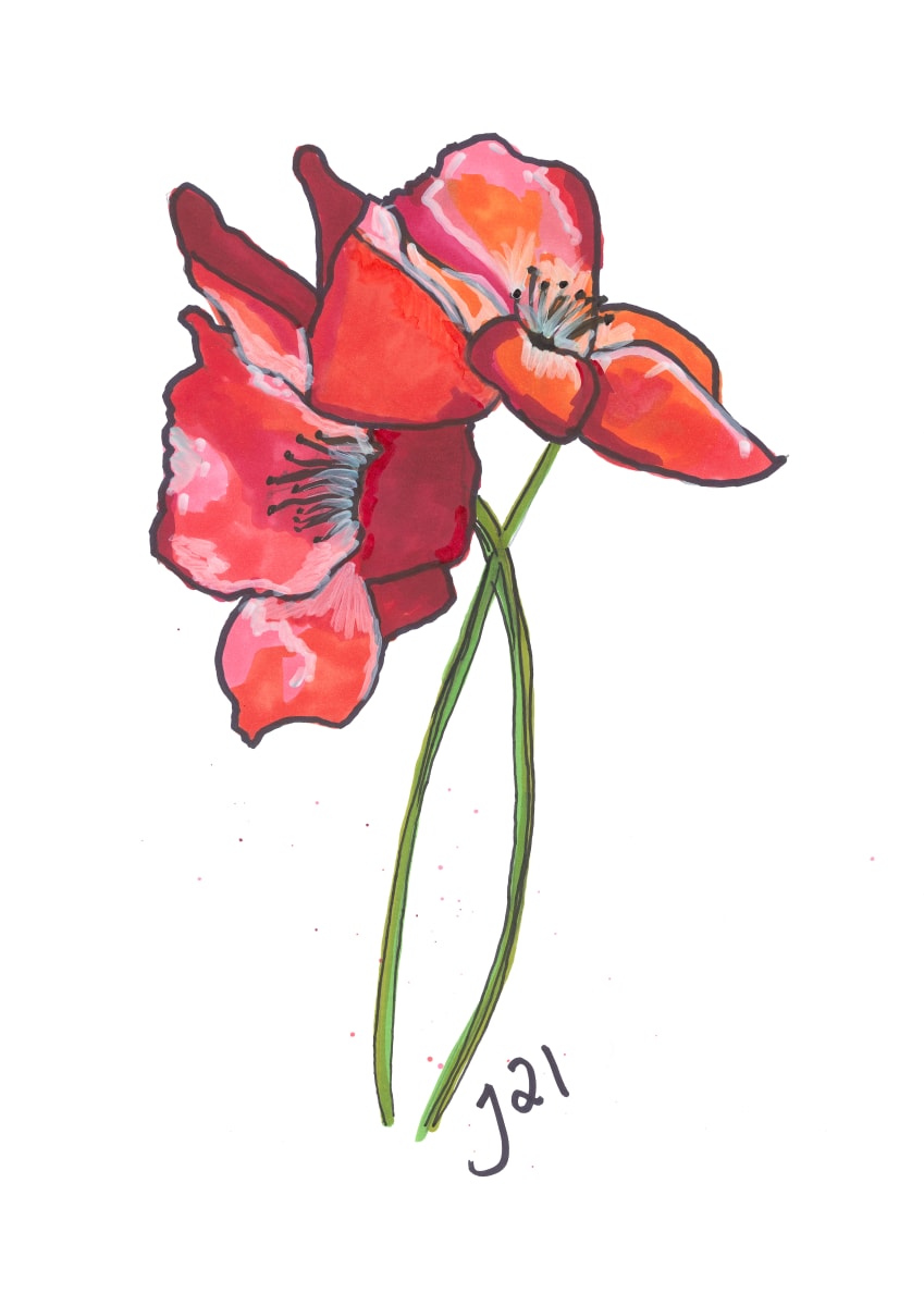 Poppies  Image: Art print