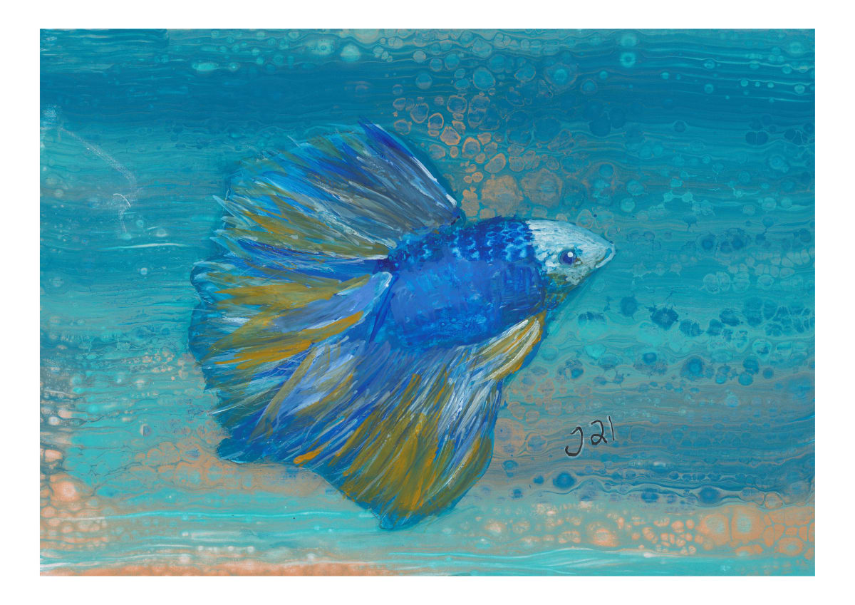 Fighting fish by Jenny Wood  Image: A4 art print