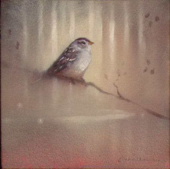 White-Throated Sparrow by Scott E. Hill, Image 1.