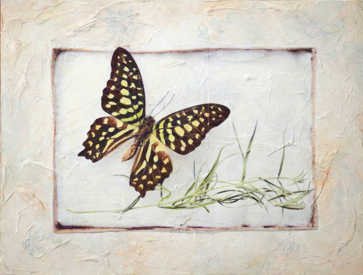 Invisible Qualities by Judith Monroe 