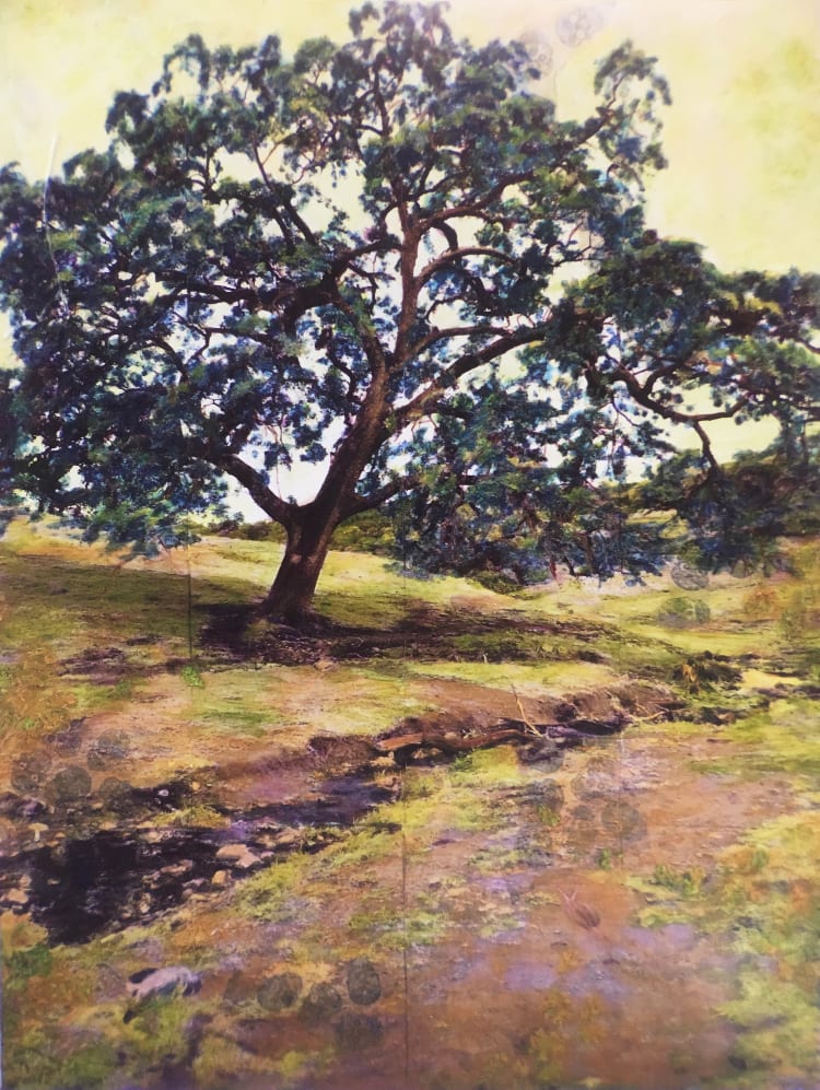 Despite the Darkness by Judith Monroe 