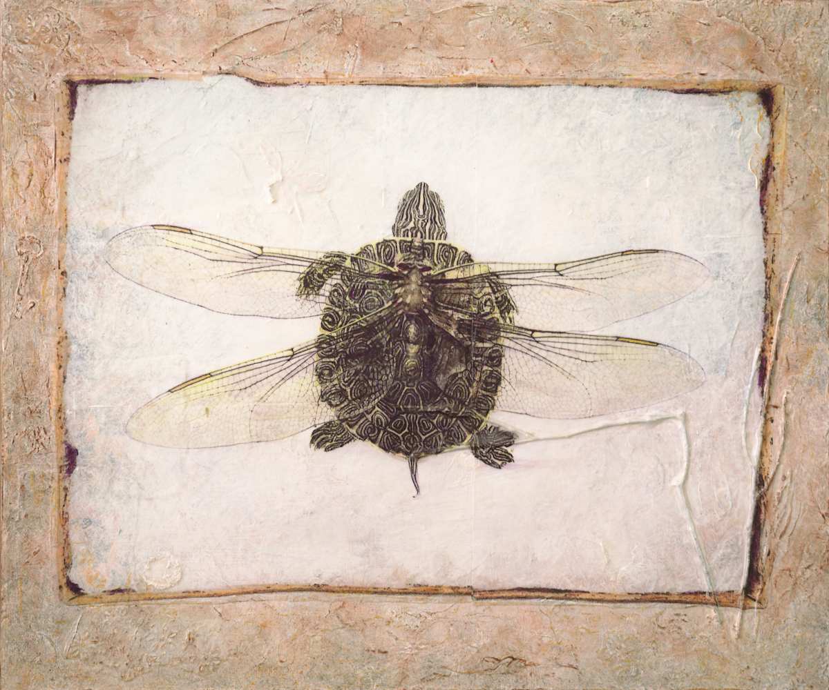 When Turtles Dream by Judith Monroe, Image 1.