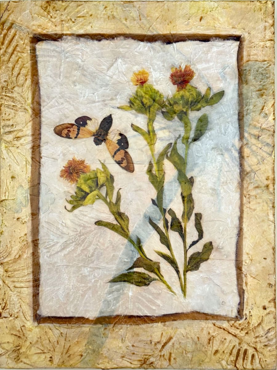 Seasons Change by Judith Monroe 