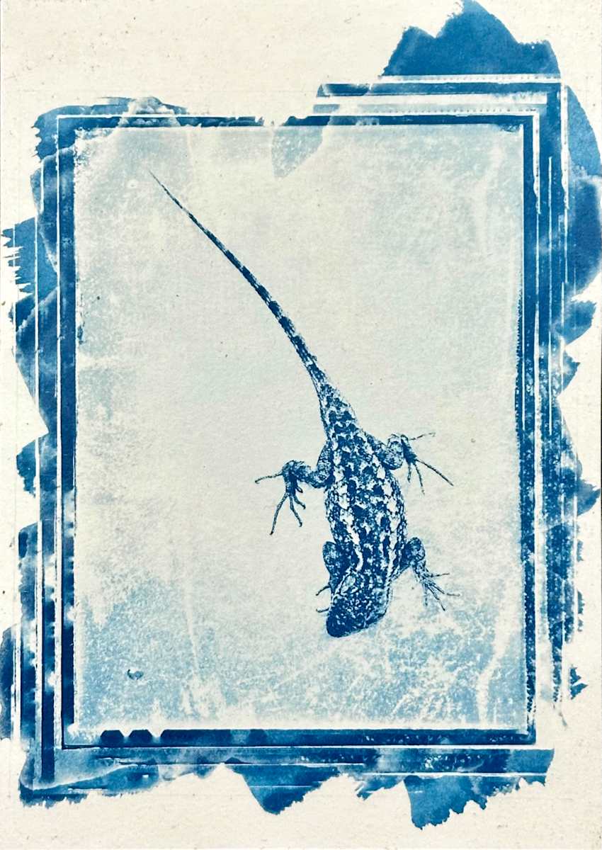 Blue Belly by Judith Monroe, Image 1.