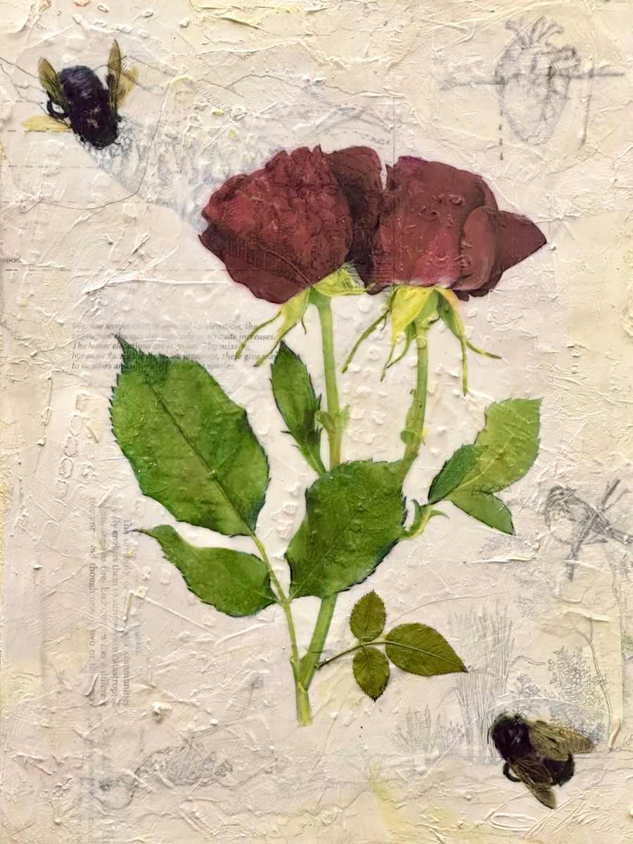 Admiration by Judith Monroe, Image 3.