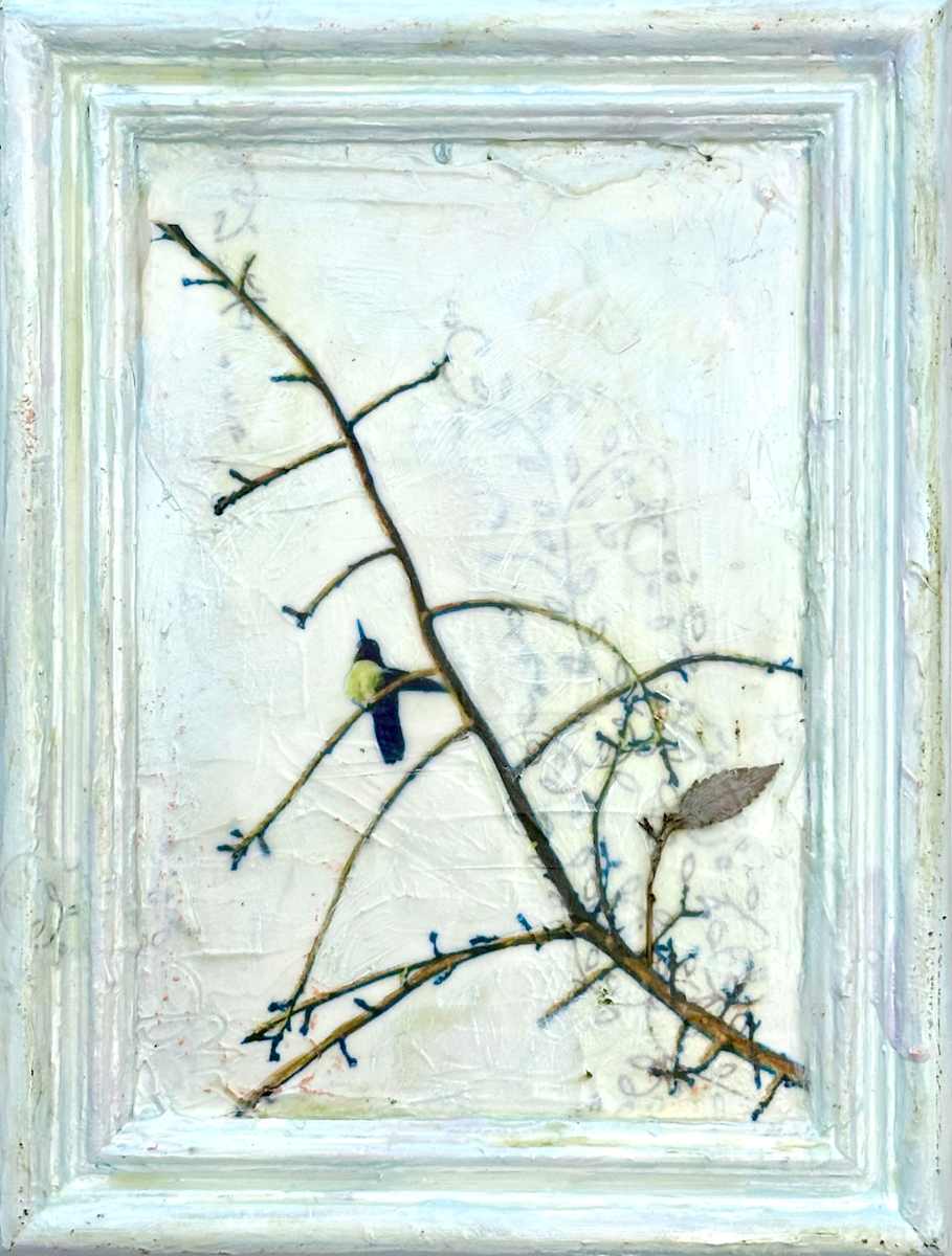 Delight by Judith Monroe, Image 1.