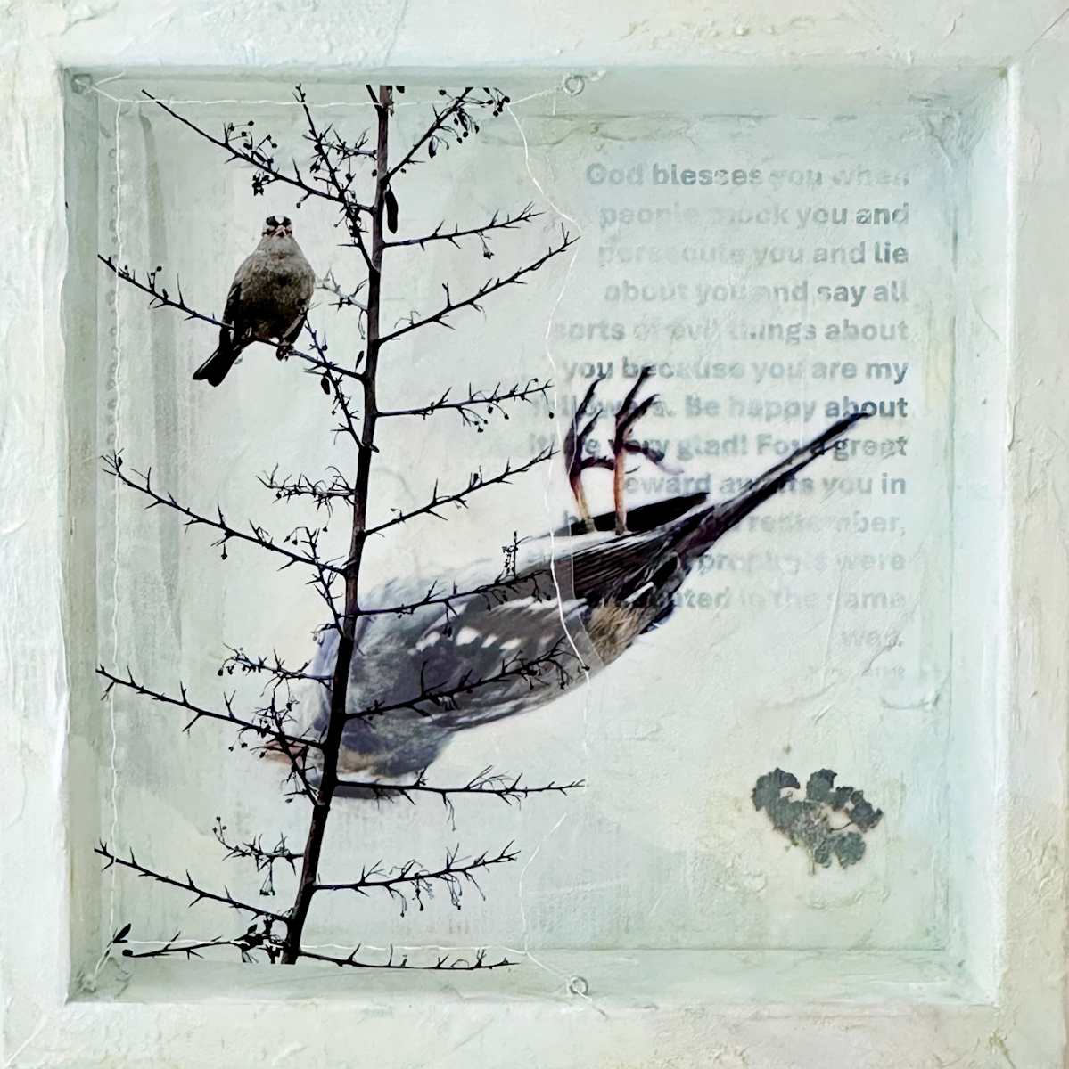 Mockery (Dissonance series) by Judith Monroe, Image 1.