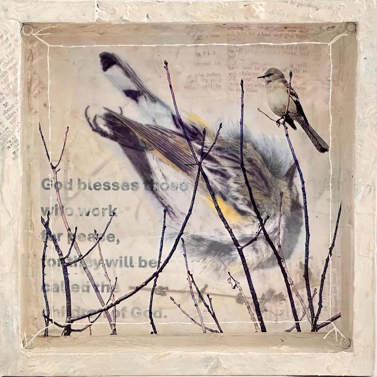 Dissonance: Peacemakers by Judith Monroe, Image 2.