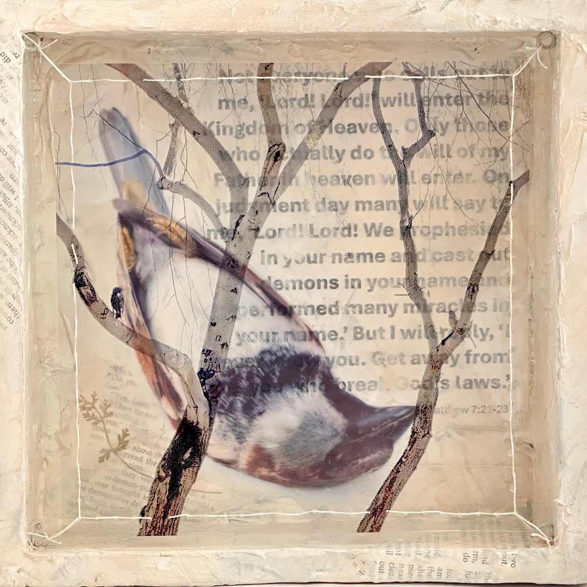 Dissonance: Lord, Lord by Judith Monroe 