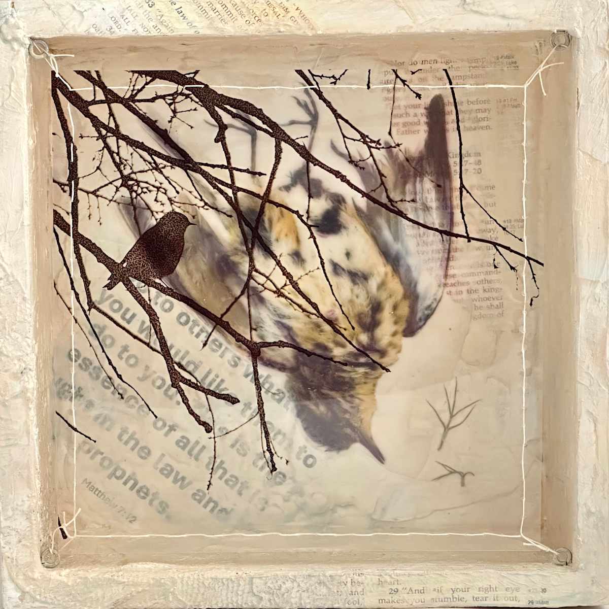 Dissonance: Golden Rule by Judith Monroe 