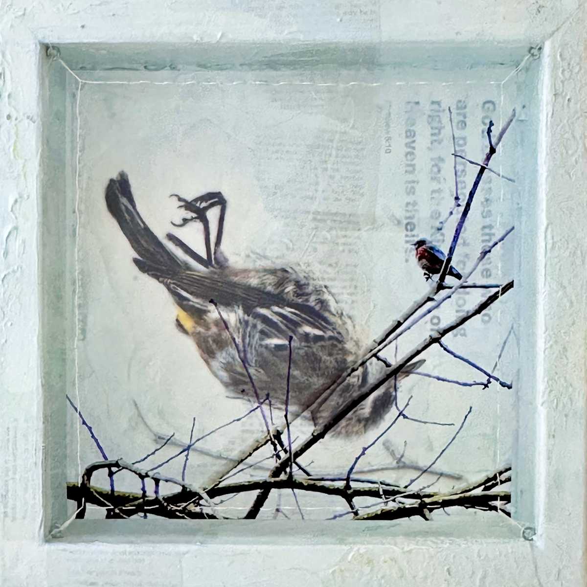 Persecuted (Dissonance series) by Judith Monroe, Image 1.