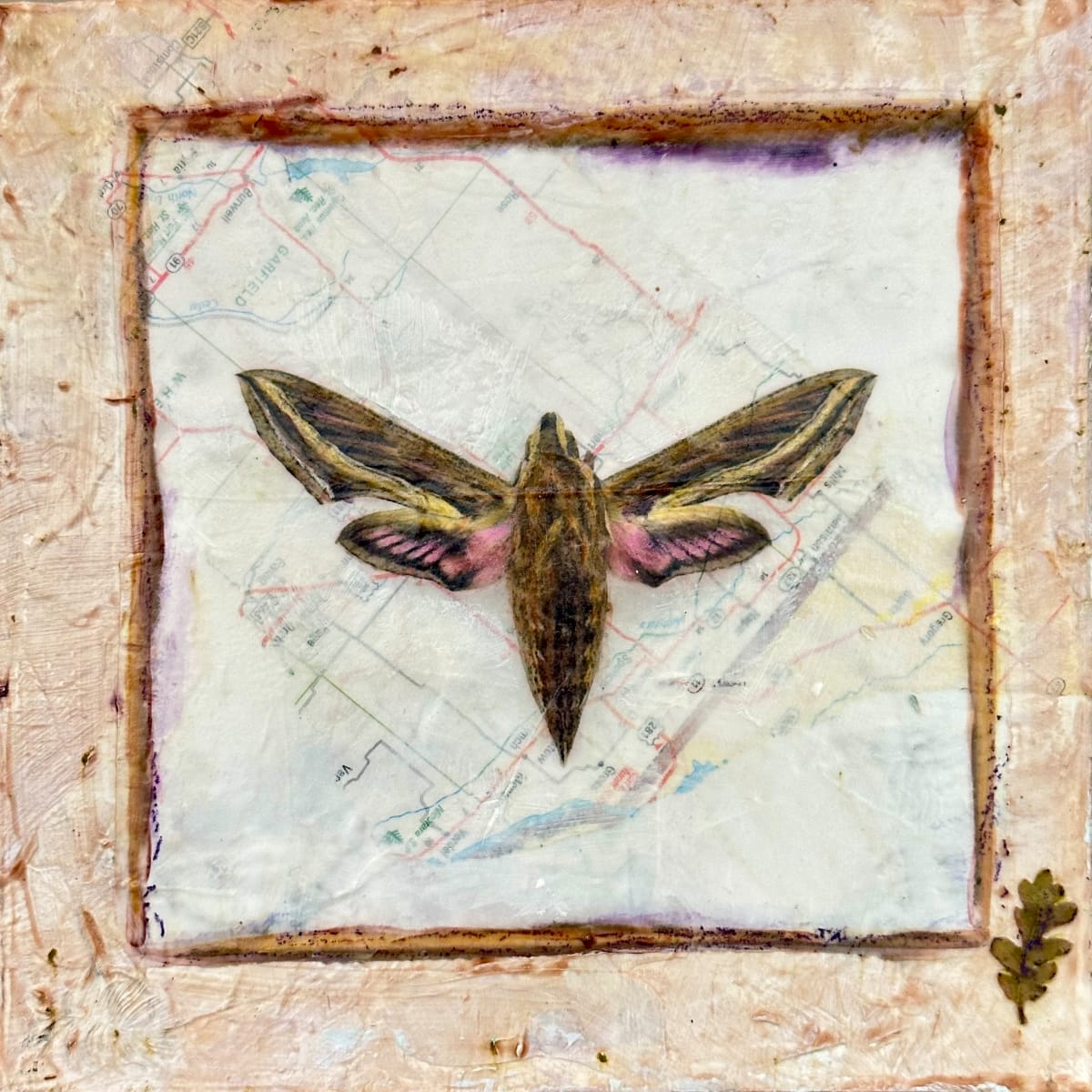 Entomology #3 by Judith Monroe 