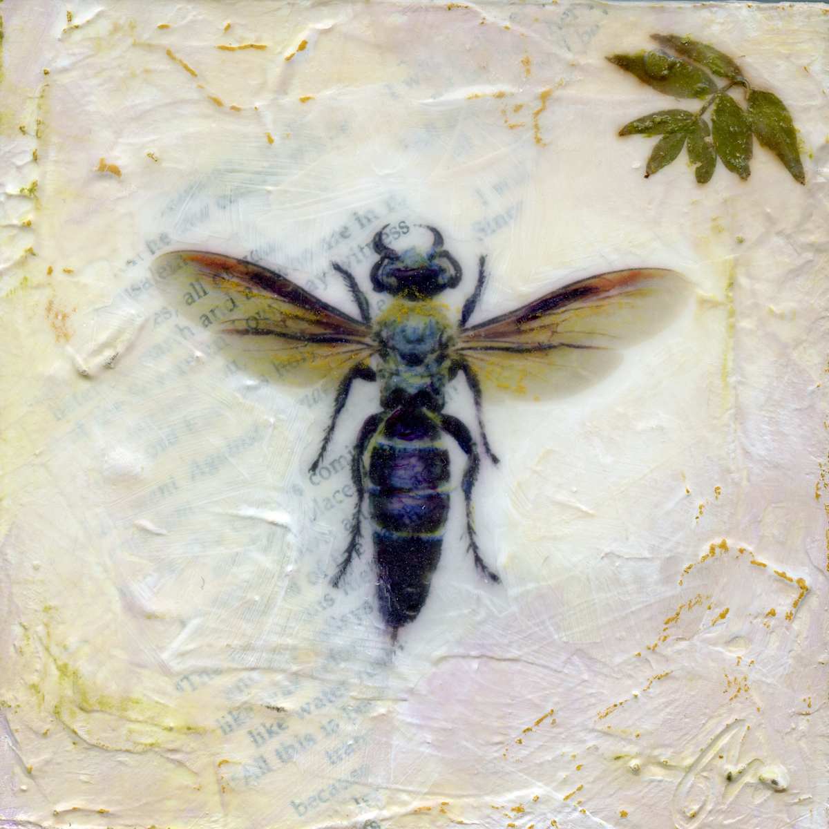 Entomology #5 by Judith Monroe 