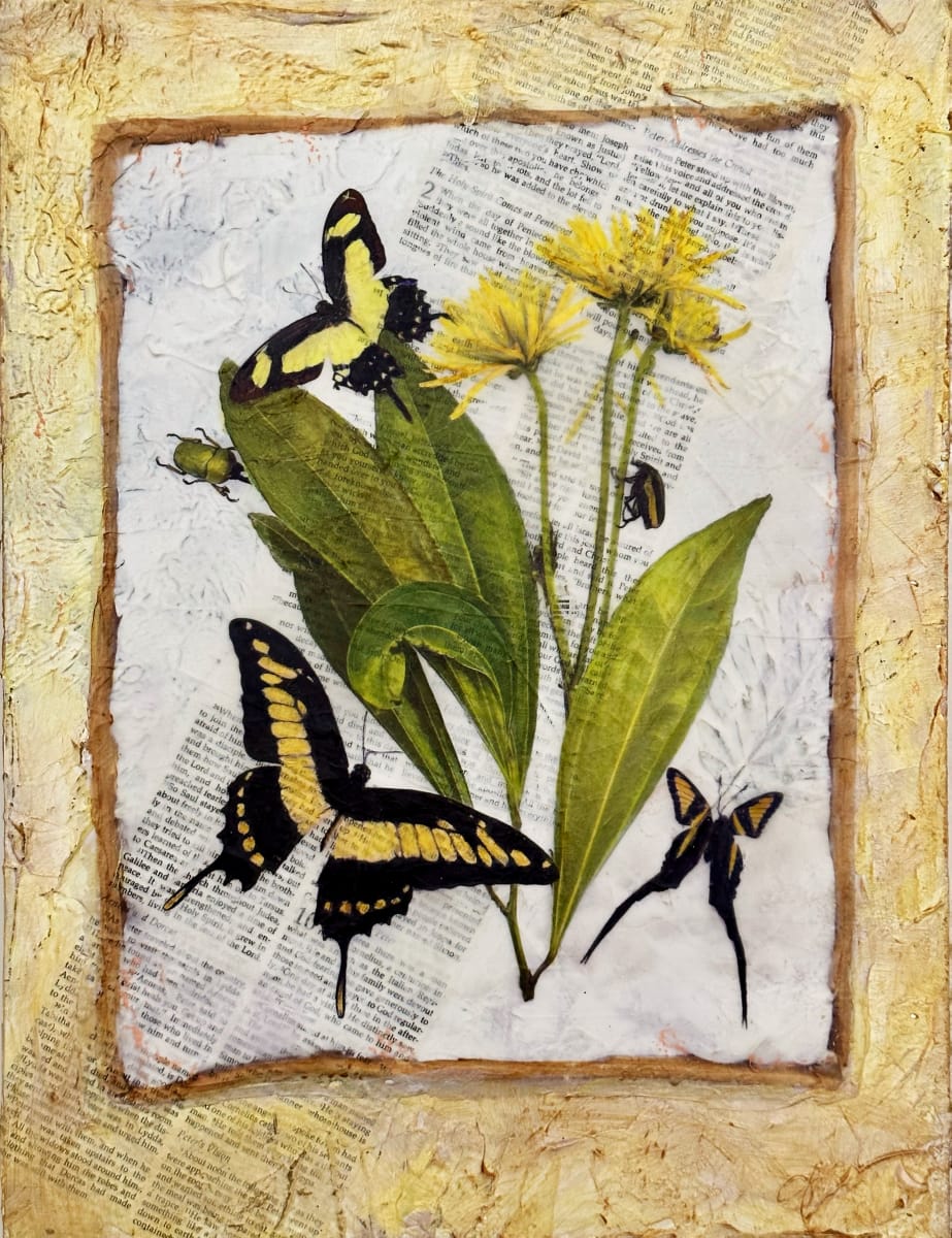 Everything New by Judith Monroe 