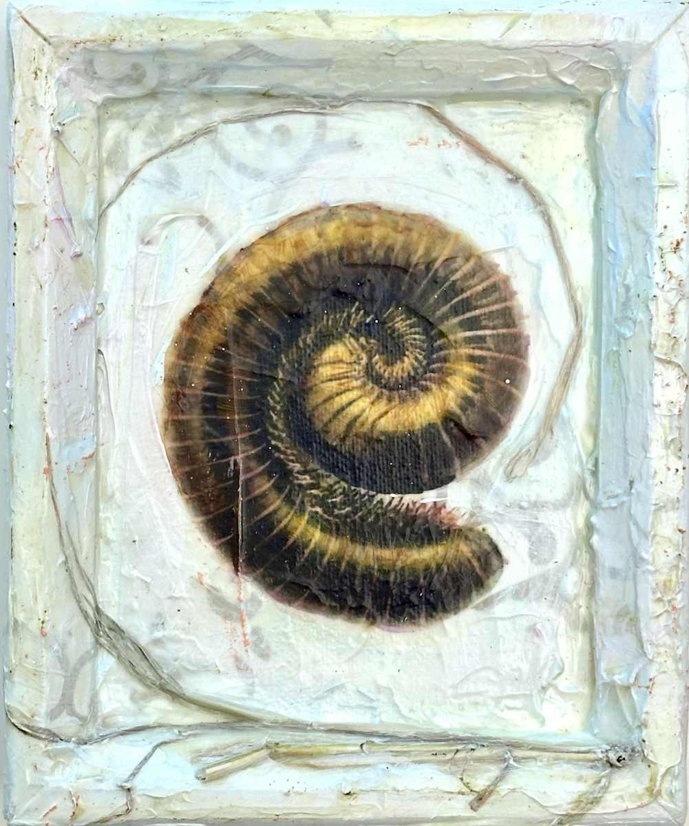 Healing by Judith Monroe, Image 1.