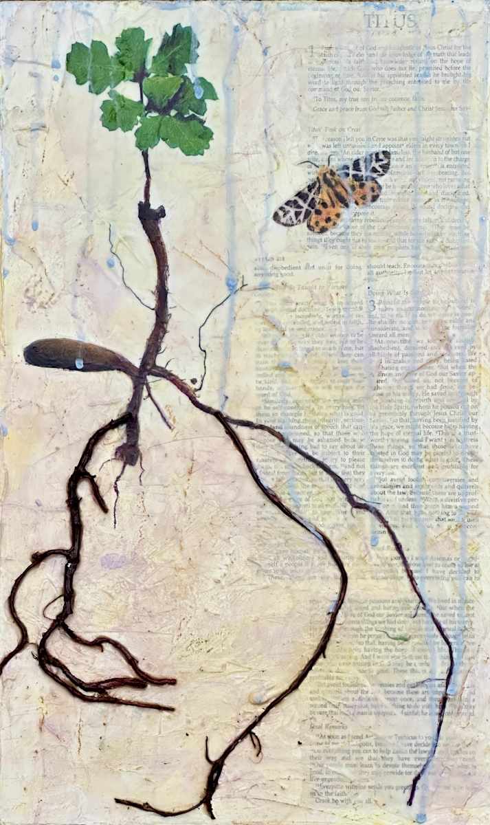 Mercy by Judith Monroe, Image 1.