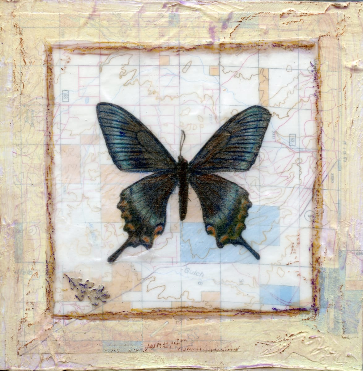 Butterfly Collection #5 by Judith Monroe 