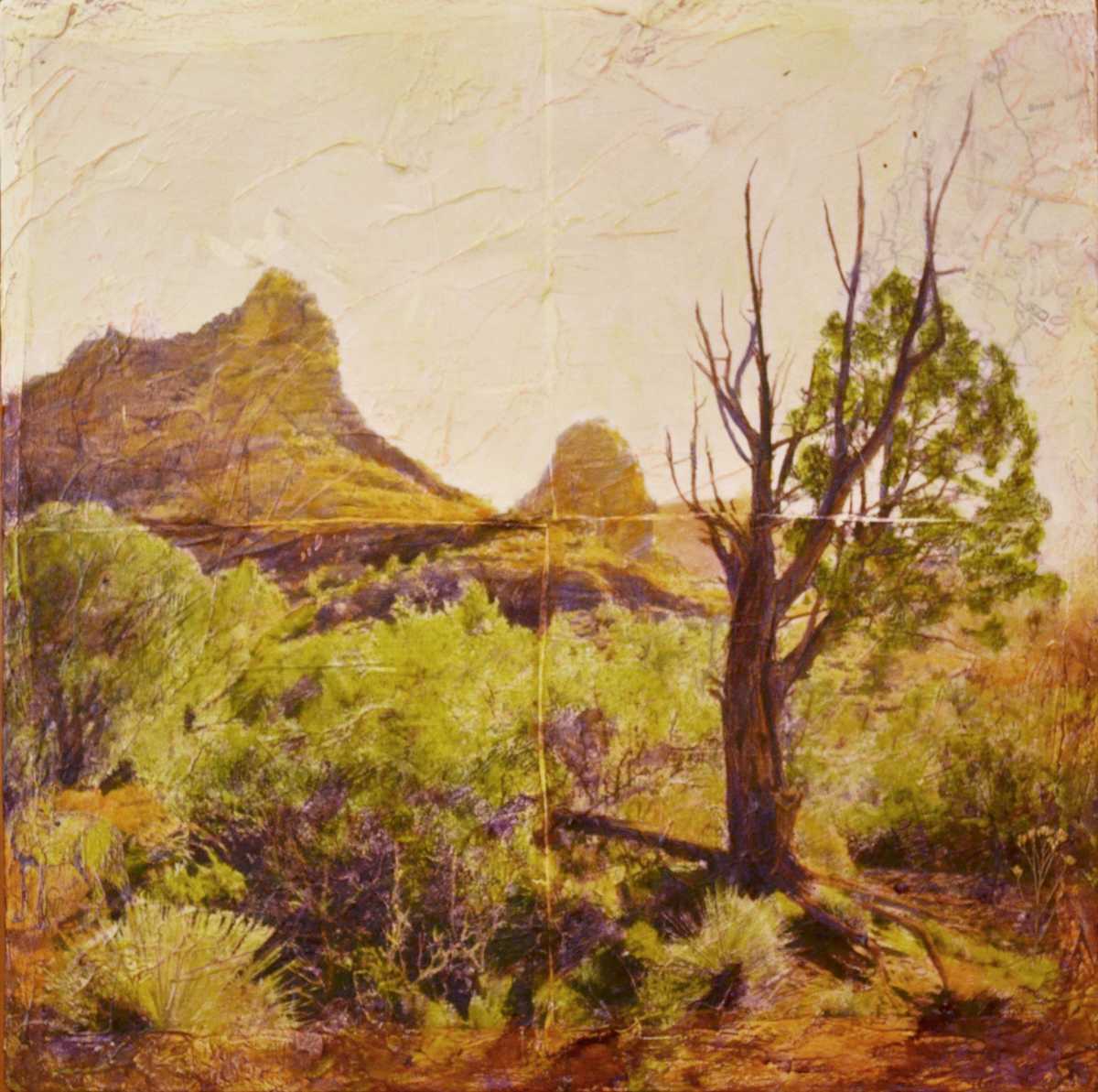 Devil's Kitchen by Judith Monroe 