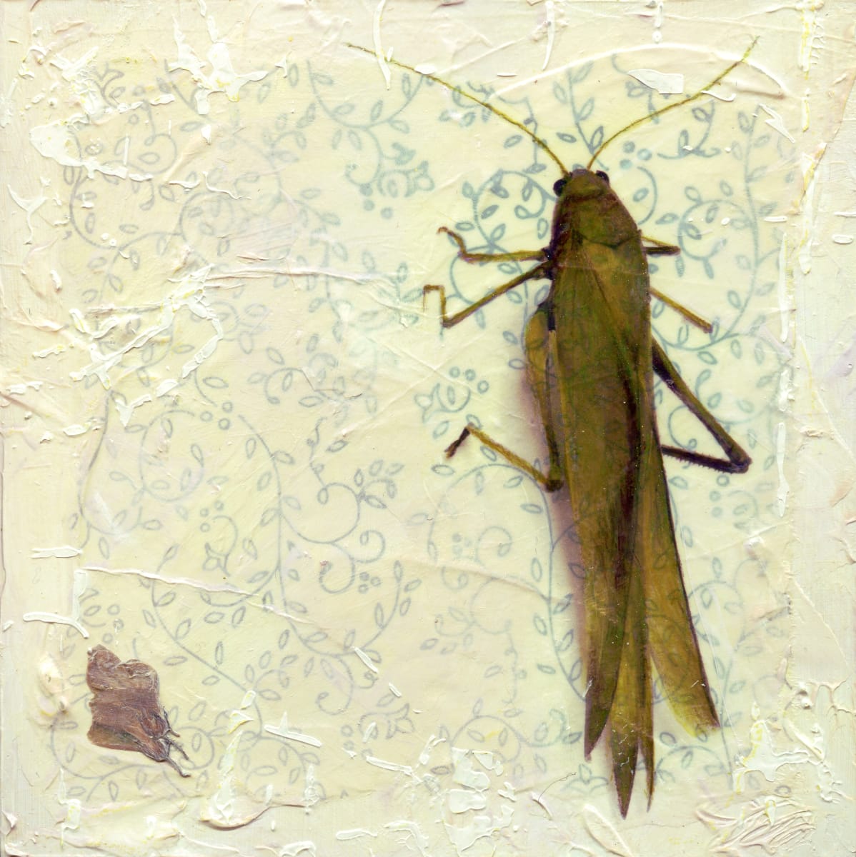 Wisdom by Judith Monroe 