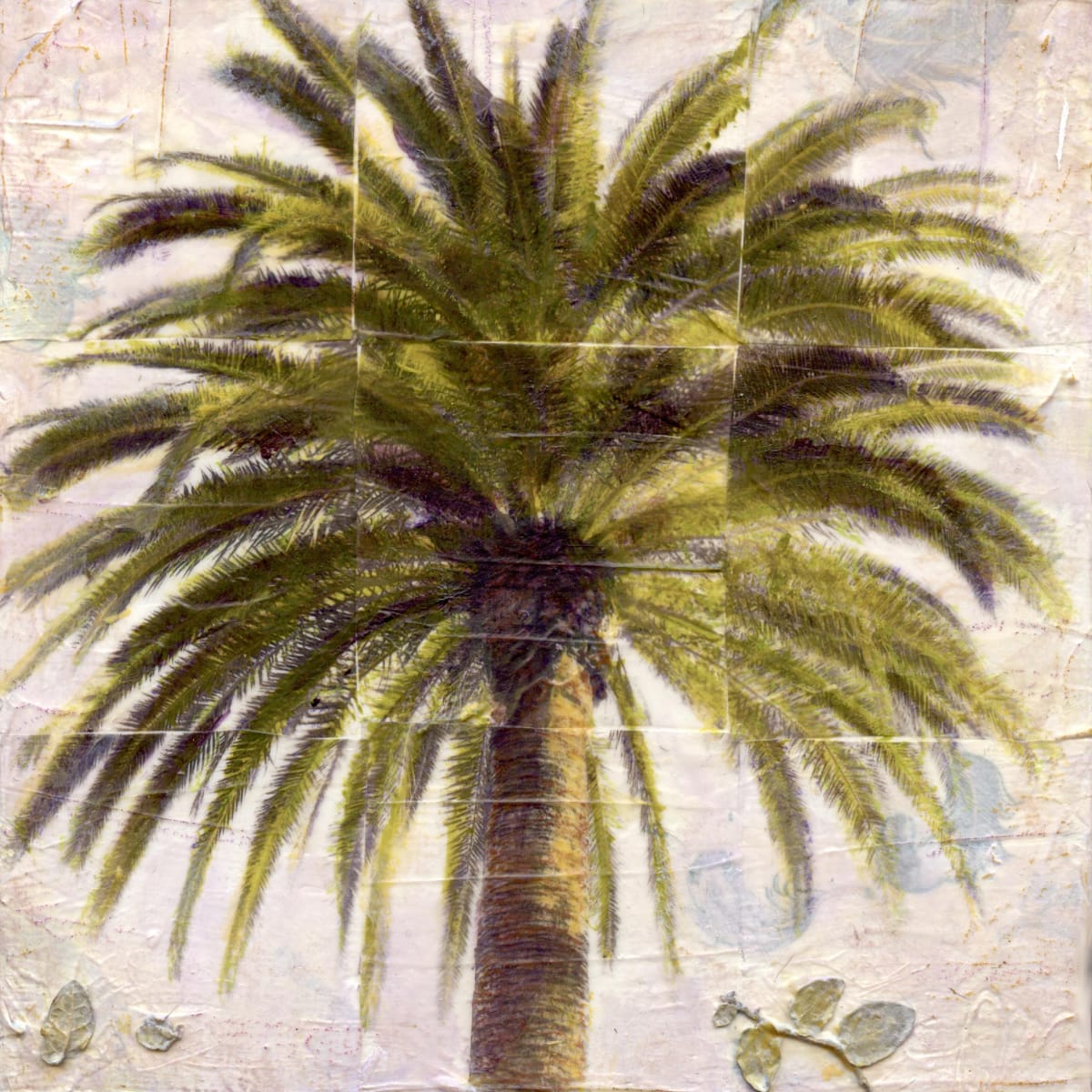 King Palm by Judith Monroe 