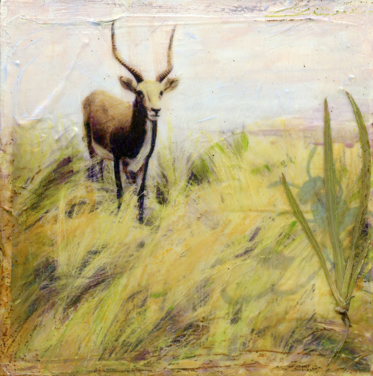 A Quiet Moment by Judith Monroe 