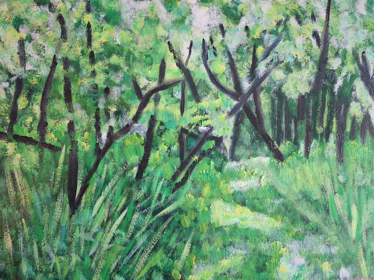 Forest Trail by Amy Townsend 