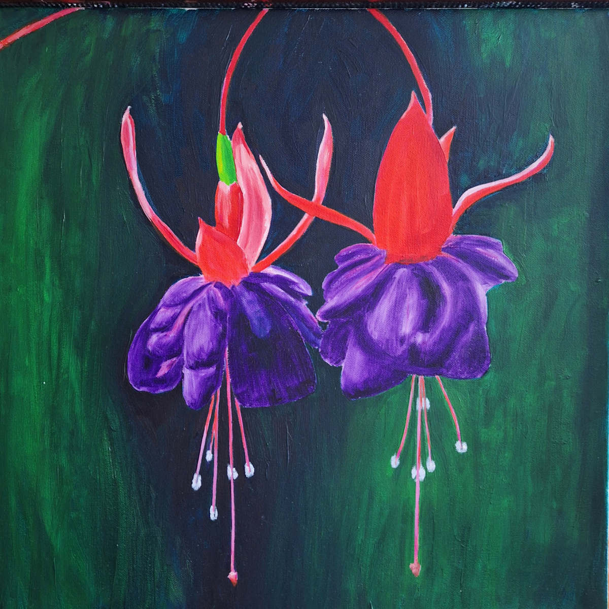 Fuchsia Flowers by Amy Townsend 