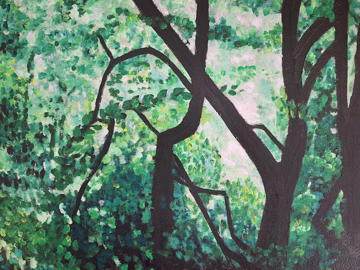 Near Cascades Park by Amy Townsend 