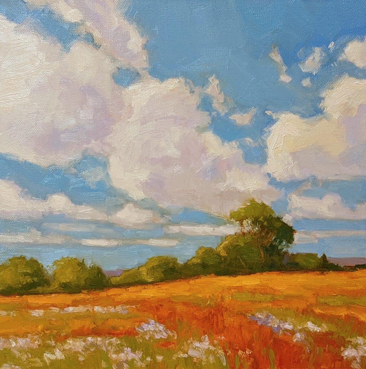 Watching the Clouds Go By by Lisa Kyle 