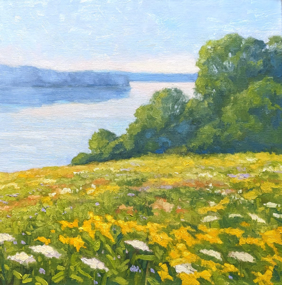 Morning at a Summer Meadow by Lisa Kyle 