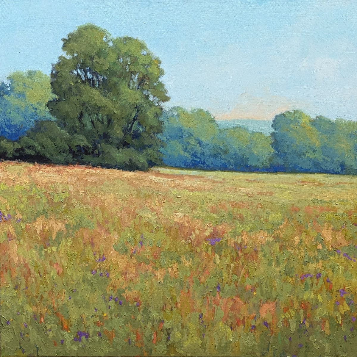 June Meadow by Lisa Kyle 