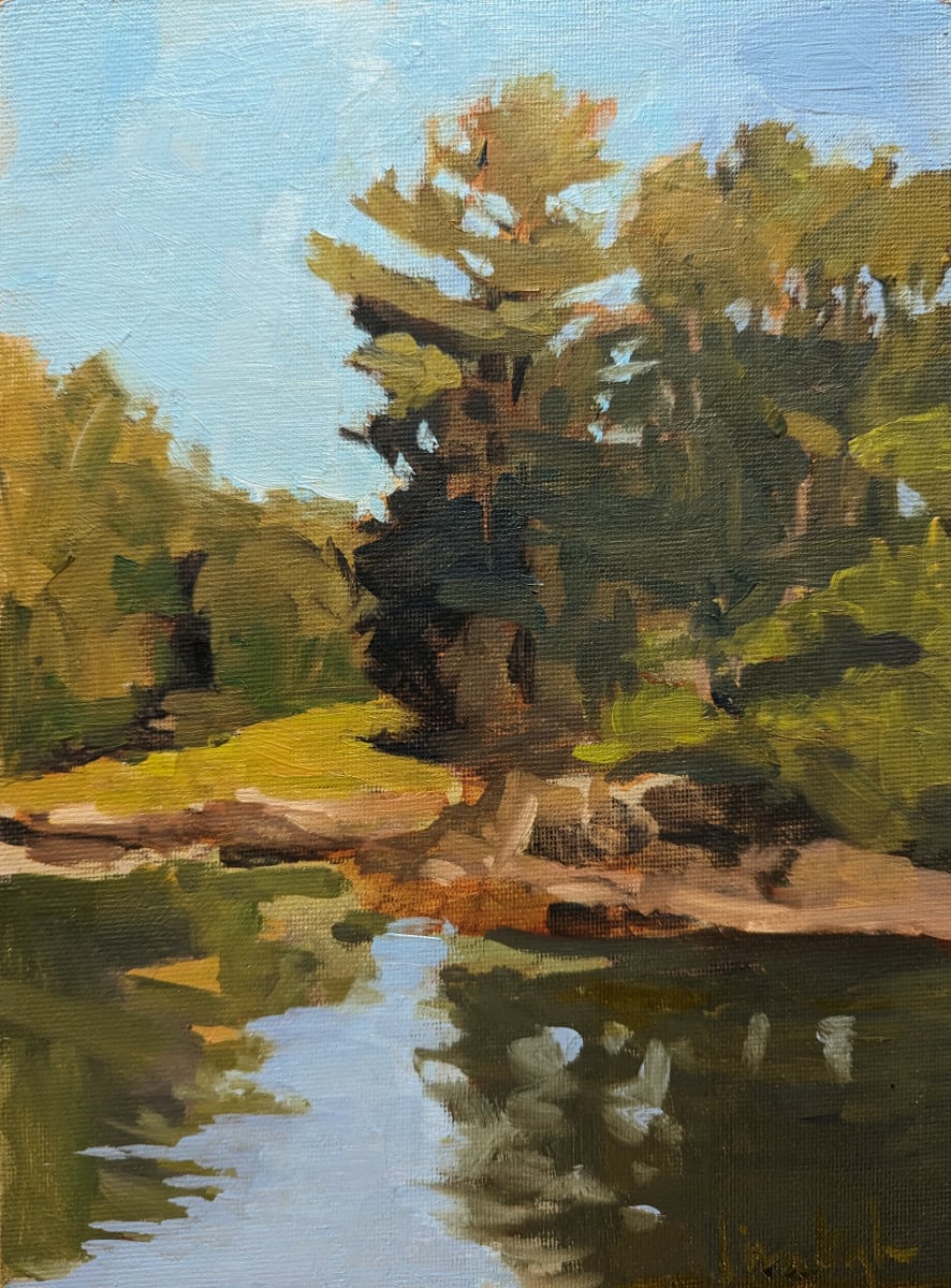 View from a Cove by Lisa Kyle 