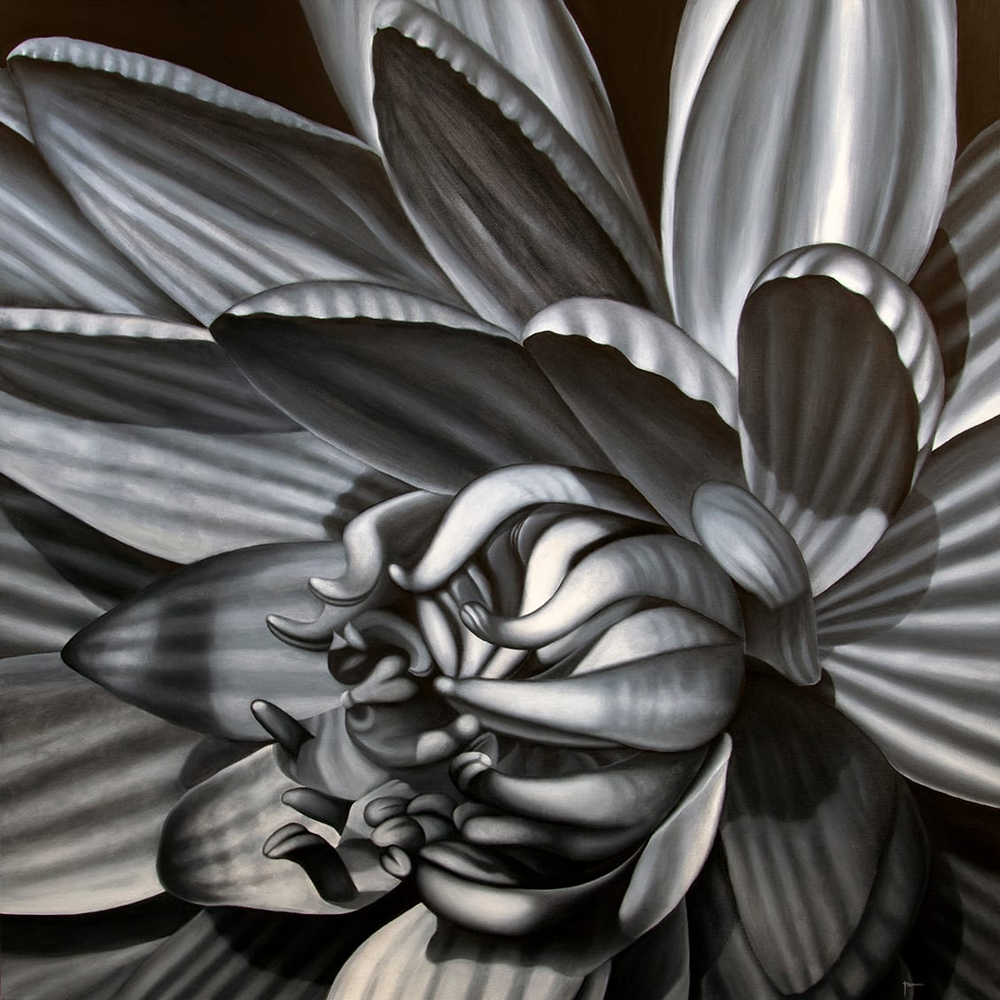 Black and White Waterlily by Juan Bernal 