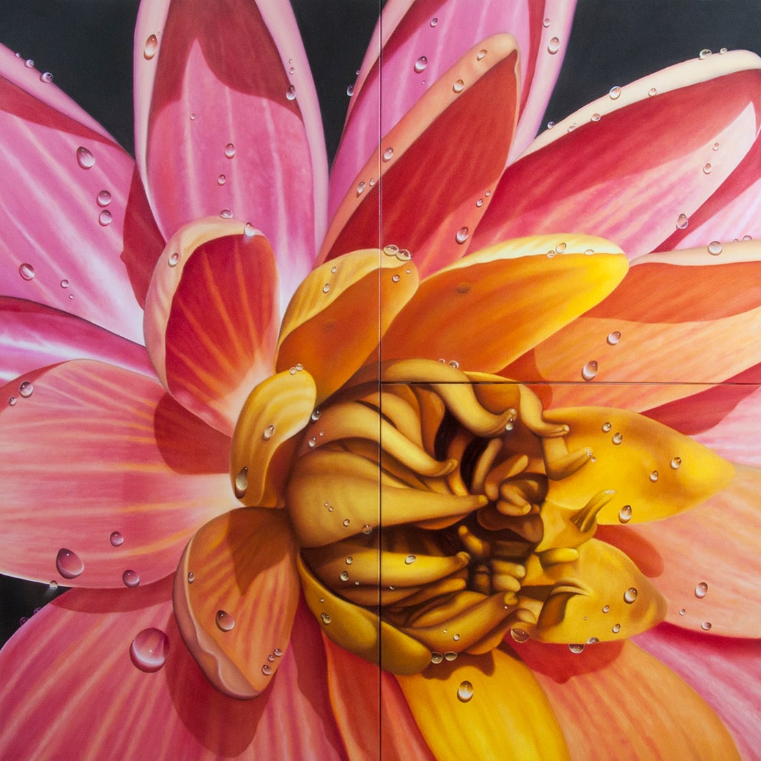 Pink Waterlily by Juan Bernal 