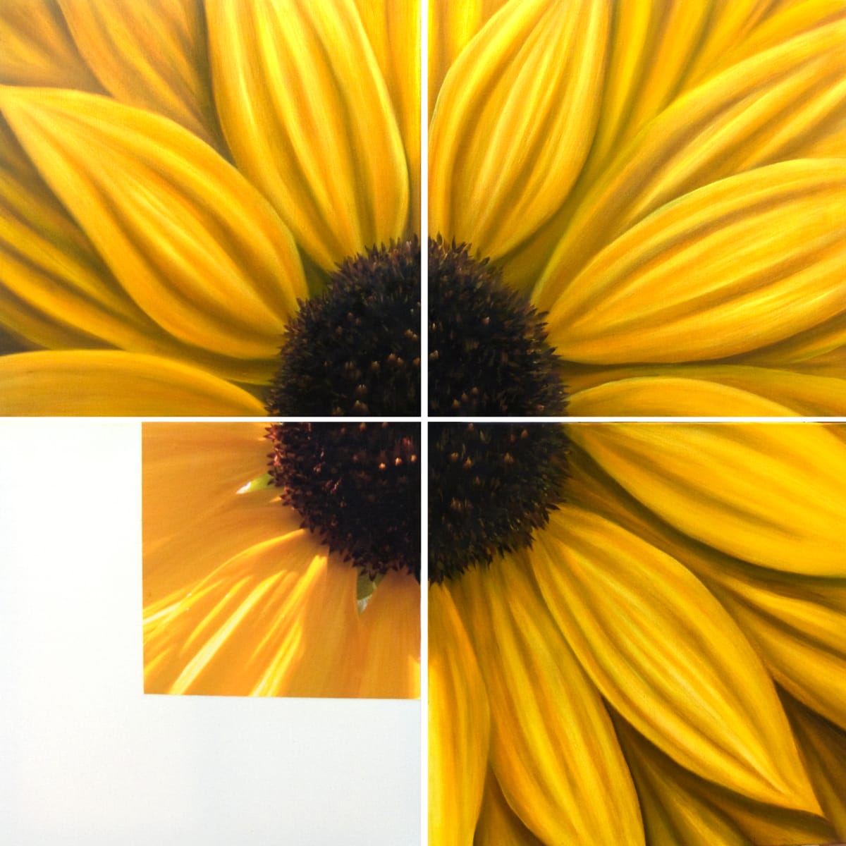 Girasol by Juan Bernal 