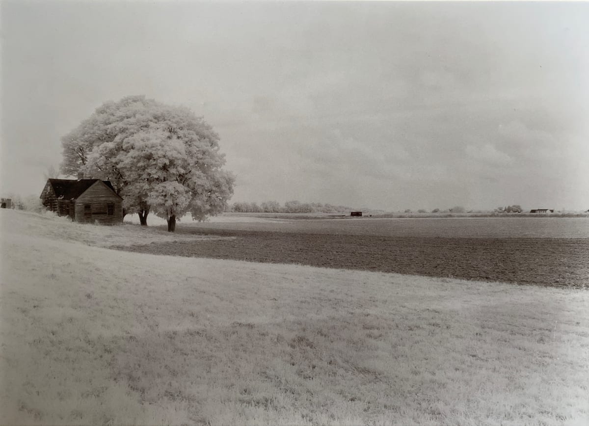 Memories of Home by Gary Bartoloni 