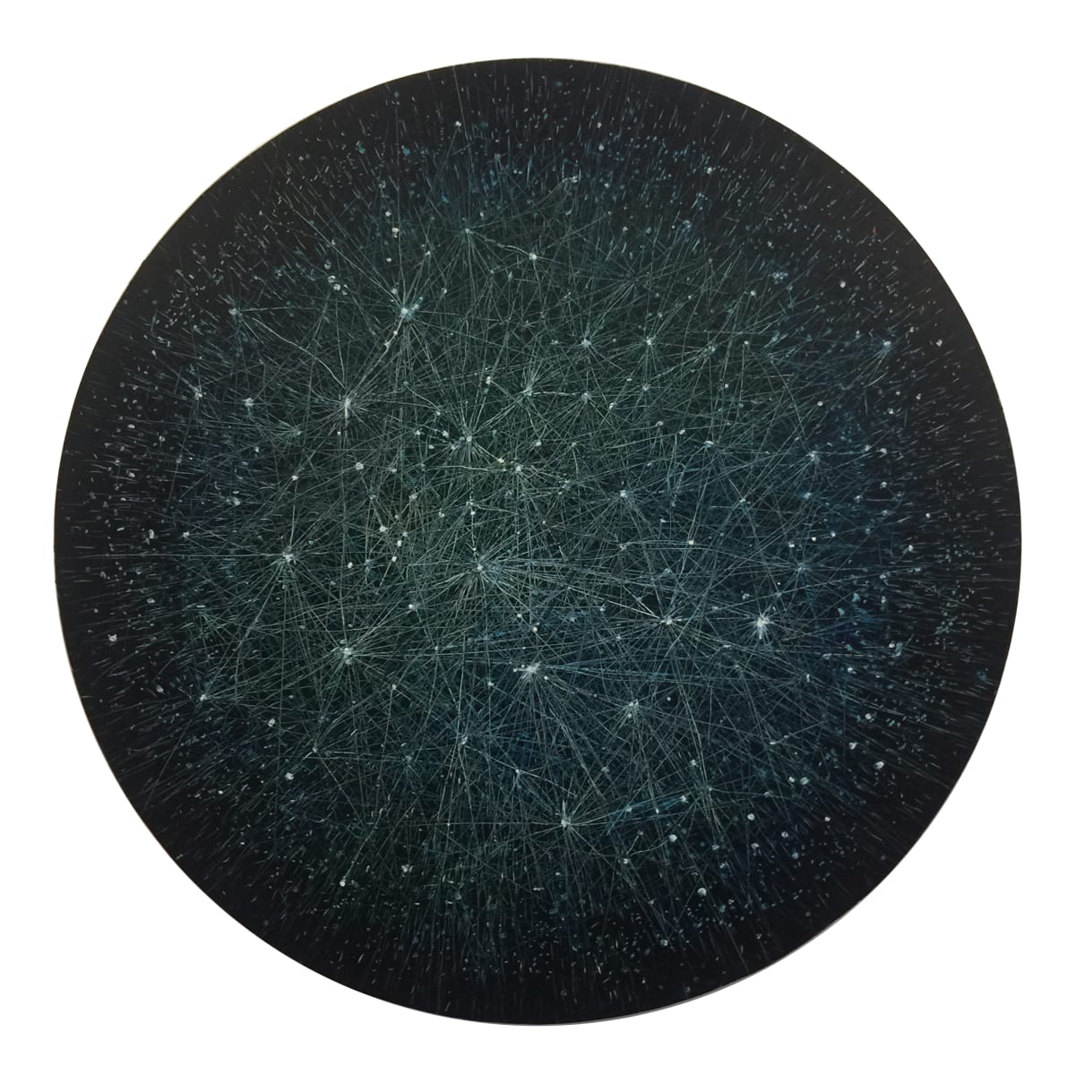 Dark Web by Sharon Molloy 