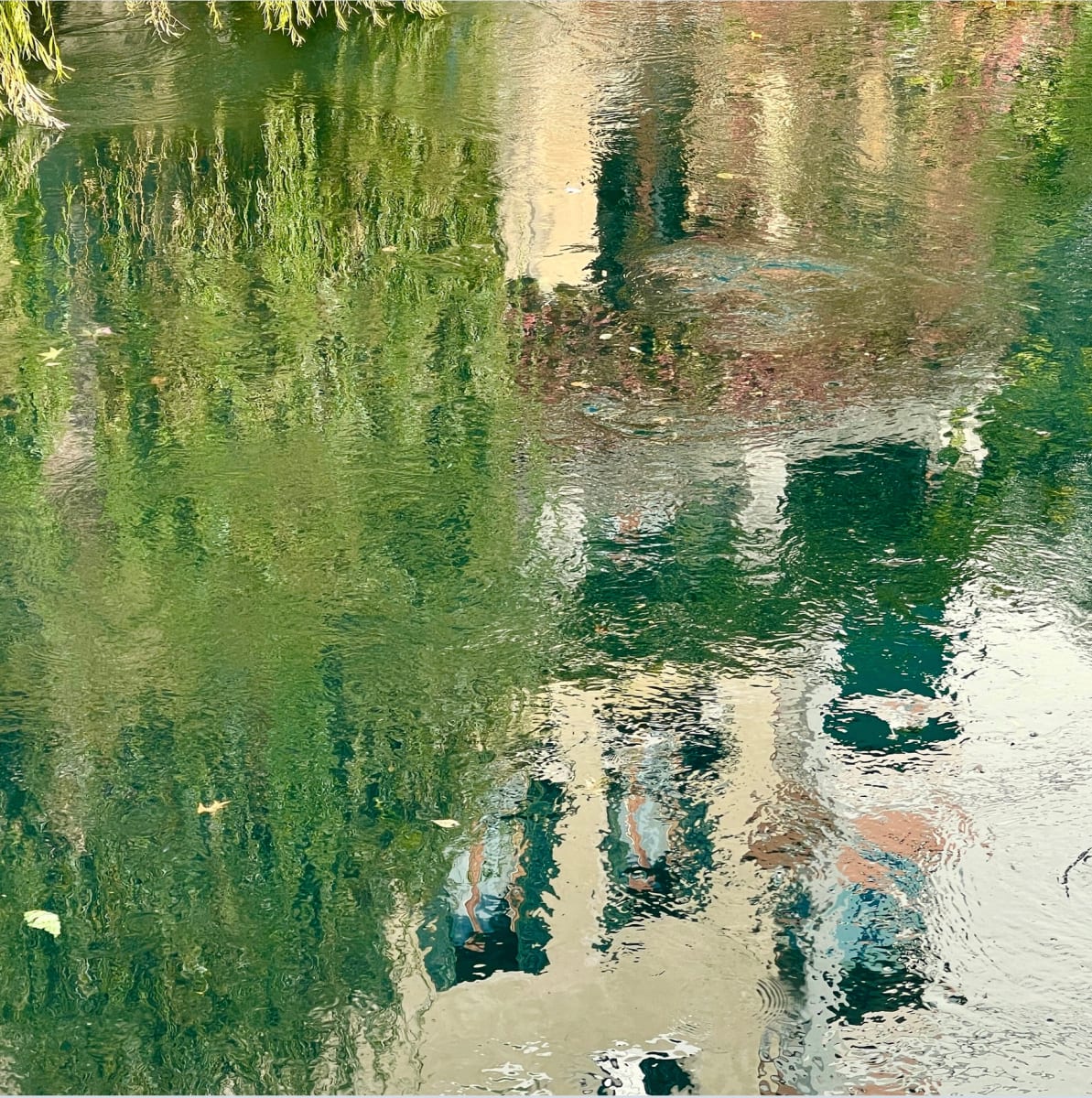Impressionistic by Alyssa Lazin 