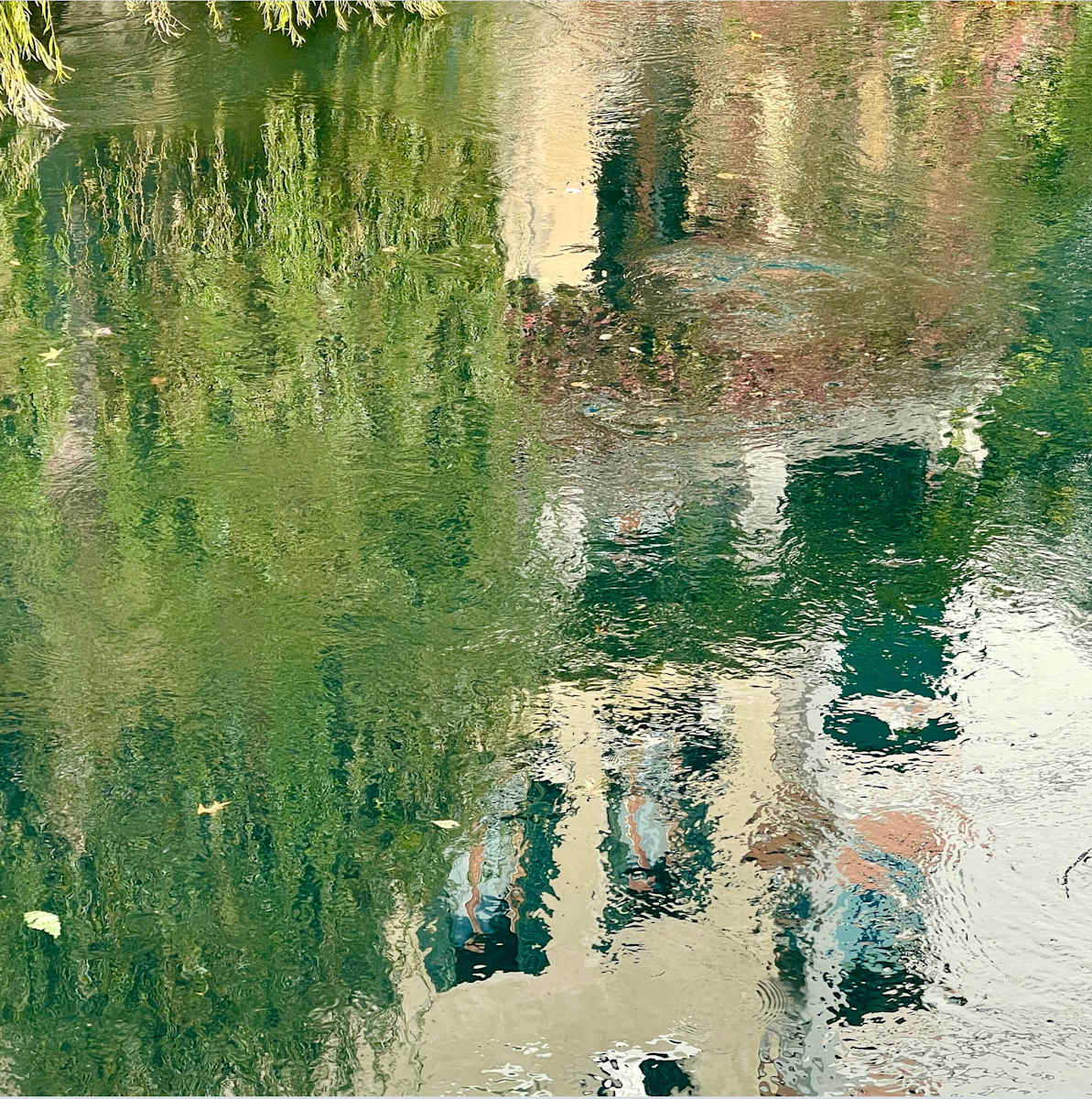 Impressionistic by Alyssa Lazin, Image 4.