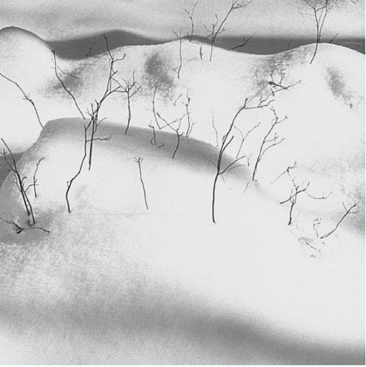 Snowfall by Joe Jurson, Image 2.
