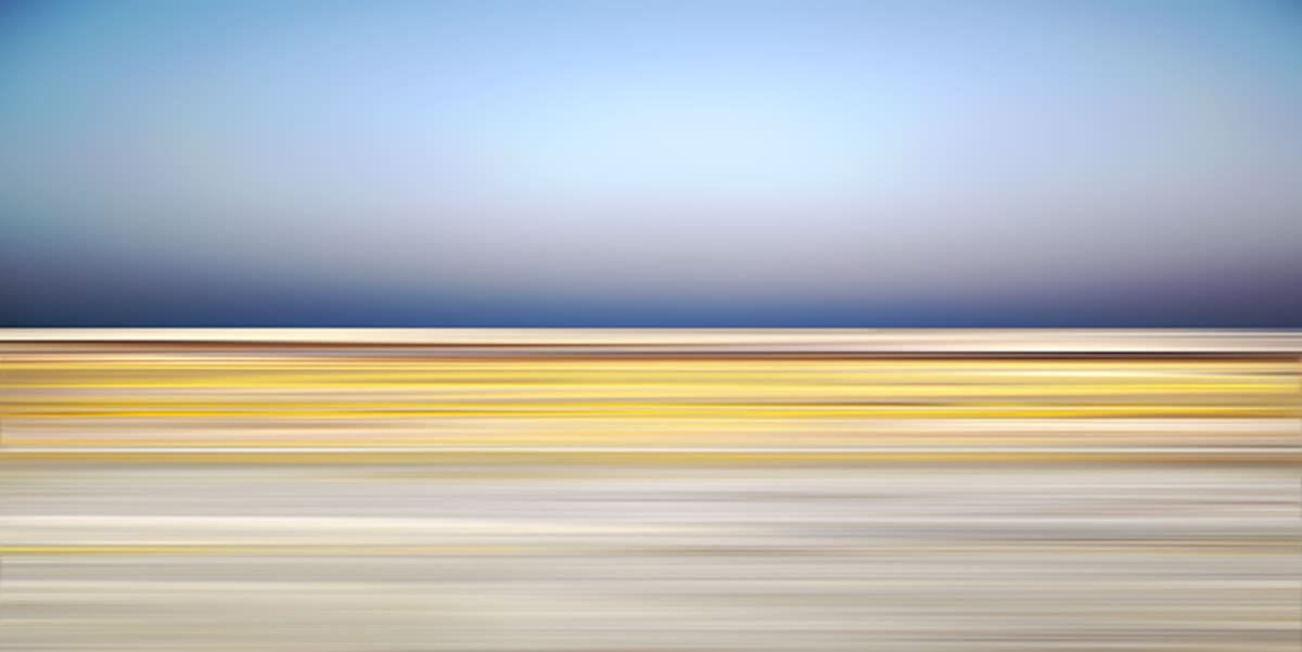 Desert 15 - Death Valley Superbloom by Danae Fallier 