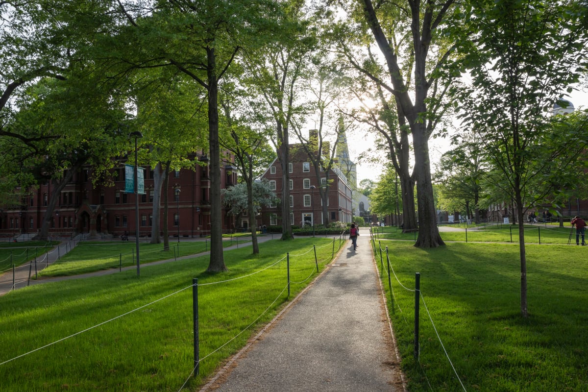 Harvard Yard-1  Image: * Art Prints are made with high-quality archival inks on paper / premium paper or canvas using a high-resolution large format inkjet printer. 
* Sizes and Price (Print Roll) - 8" x 12" - $50 / $80, 12" x 18" - $92 / $126, 16" x 24" - $120 / $181, 20" x 30" - $182 / $240, 24" x 36" - $229 / $327, 30" x 45" - $320 / $502, 40" x 60" - $530 / $570
* Also available on metal, wood and other media; please enquire for price and more details.
* Get Custom size prints as per art consultant / interior designer / project requirements.