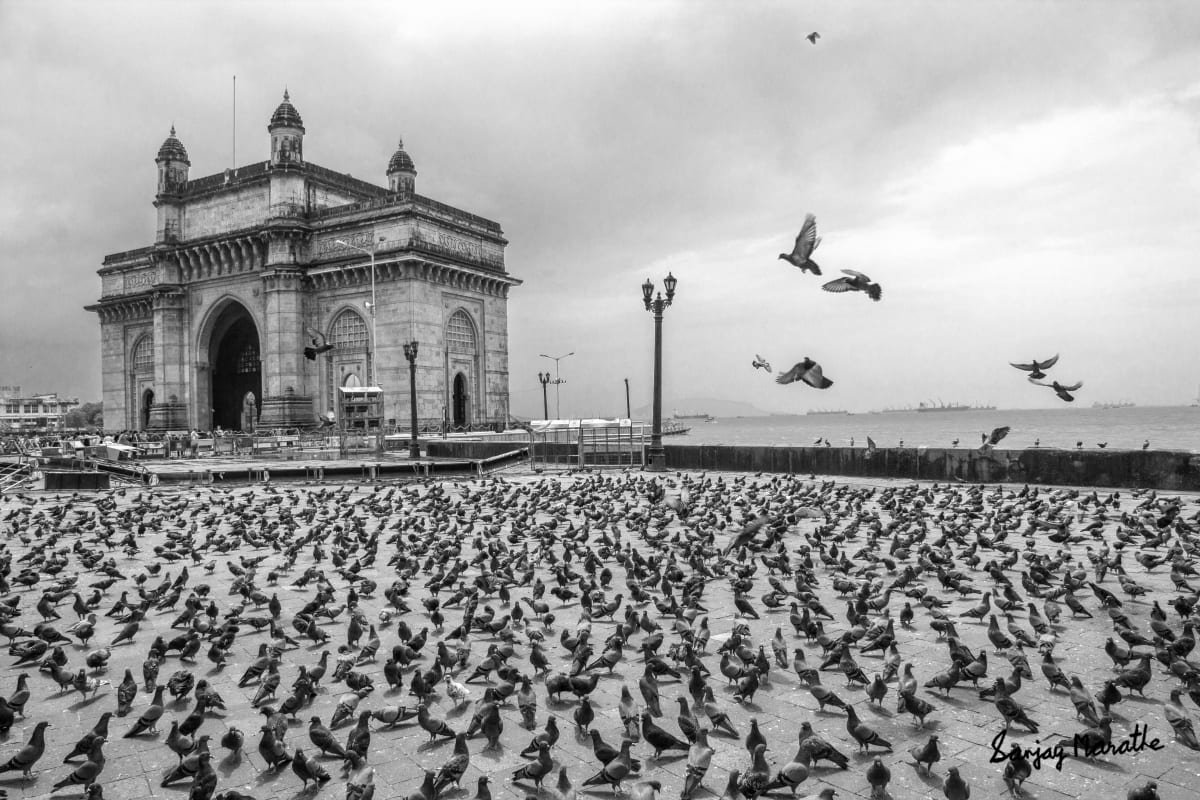 Pigeons At Gateway, Mumbai (2014) by Sanjay Marathe  Image: A nostalgic black and white photograph of the popular British era tourist landmark, the Gateway of India in Mumbai. It depicts a monsoon scene with dark clouds, and captures a rare moment as pigeons occupy the entire promenade and a few of them fly out.

The Gateway of India was built to commemorate the visit of King George V and Queen Mary to Mumbai (then Bombay) in 1924 CE, designed as a grand ceremonial entrance to the city and became one of Mumbai's most iconic landmarks. With new barricading and throngs of visitors, this composition and flock of pigeons is now a rarity.