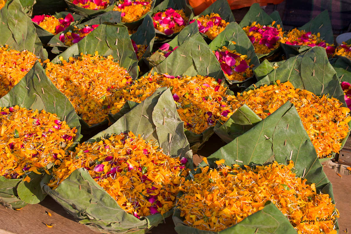 Offering, Haridwar (2005) by Sanjay Marathe  Image: Small baskets on a street cart in Haridwar, Uttarakhand, India, filled with flower petals, ready for pilgrims to offer to the river Ganges.