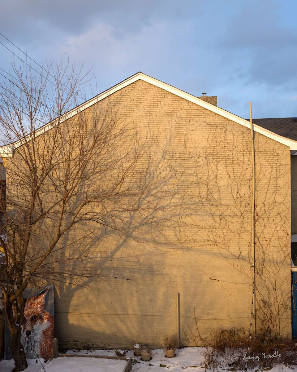 Shadows On A Wall-1 (2025) by Sanjay Marathe  Image: On one of the coldest days of the season, the sun shone brightly, casting beautiful shadows on the house across my backyard. What I love about this photograph is how the shadows blend seamlessly with the dried vine on the beige wall, the striking contrast of the blue sky, and the fox artwork by Pittsburgh mural artist Jeremy Raymer in the corner - looking as though it’s truly hiding behind the tree.