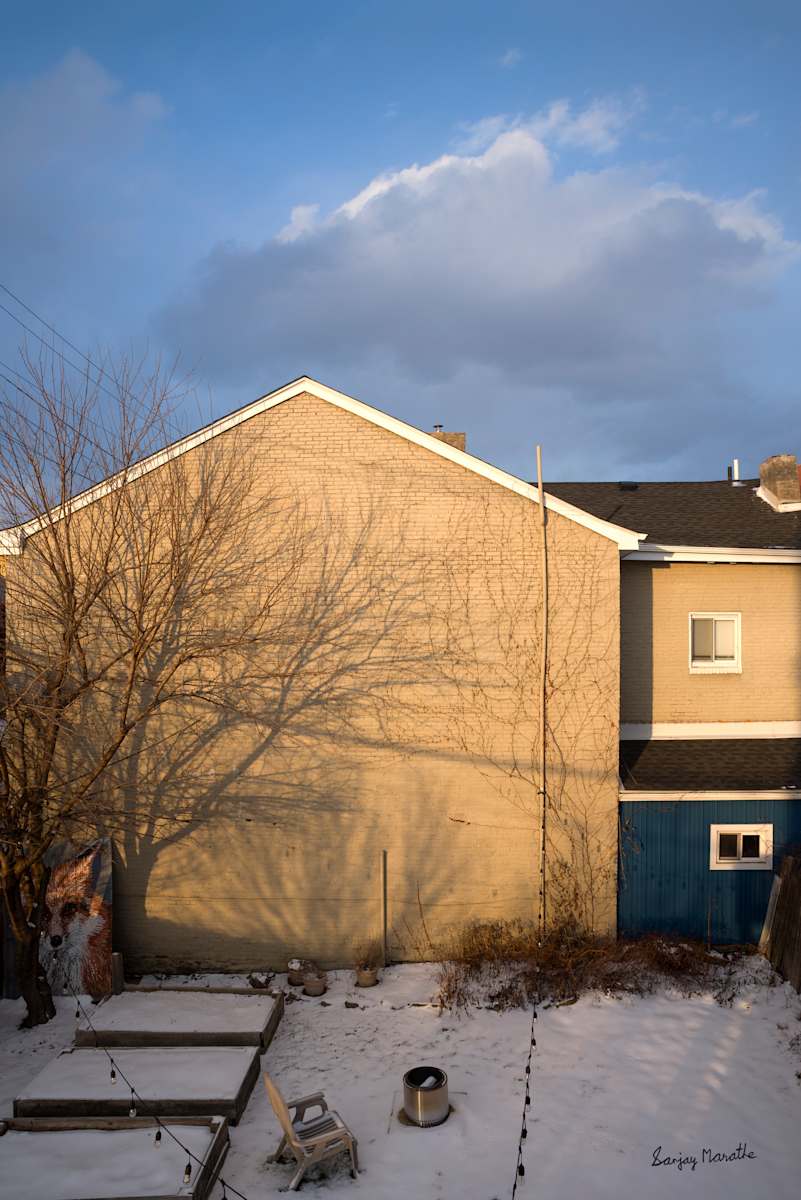 Shadows On Wall-2 (2025) by Sanjay Marathe  Image: On one of the coldest days of the season, the sun shone brightly, casting beautiful shadows on the house across my backyard. What I love about this photograph is how the shadows blend seamlessly with the dried vine on the beige wall, the striking contrast of the blue sky, and the fox artwork by Pittsburgh mural artist Jeremy Raymer in the corner - looking as though it’s truly hiding behind the tree.