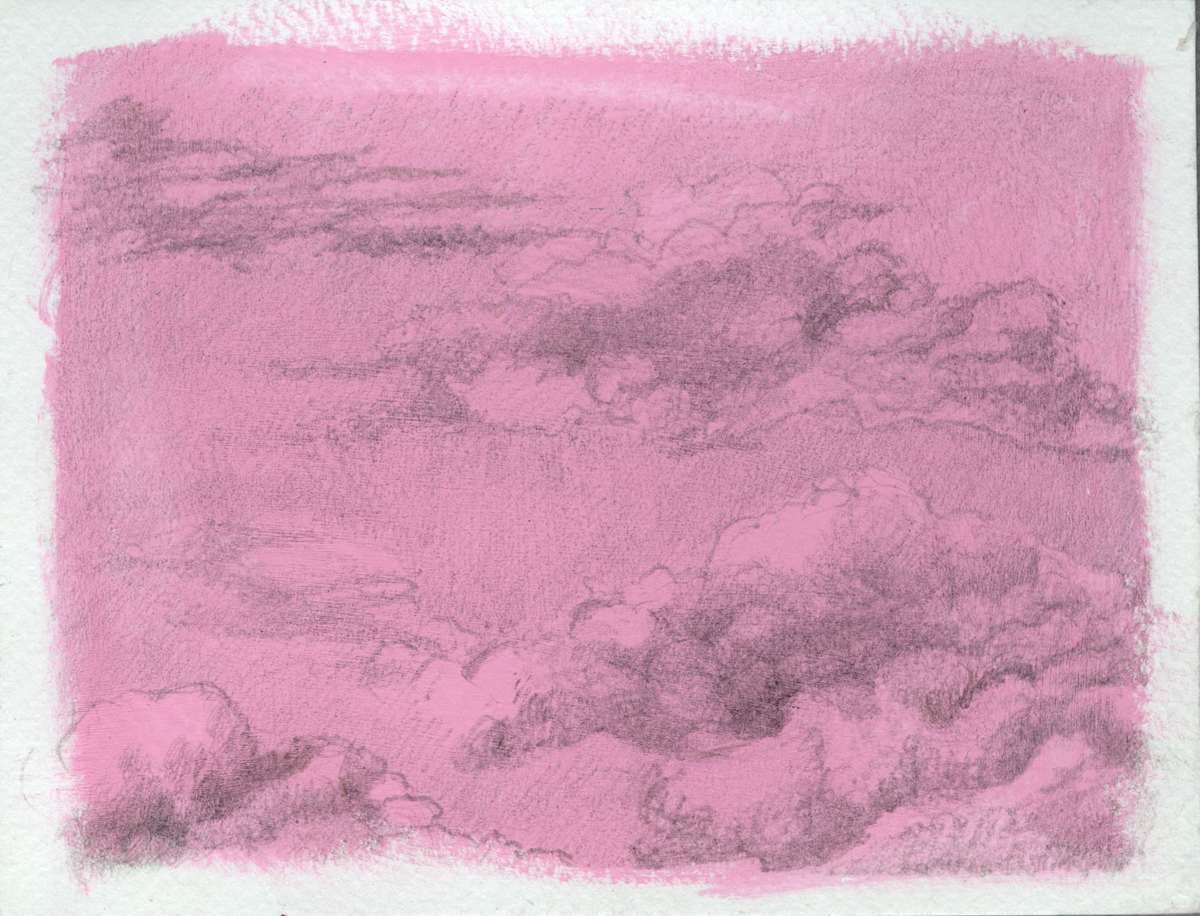 Pink Expectations by Jenny Walton 