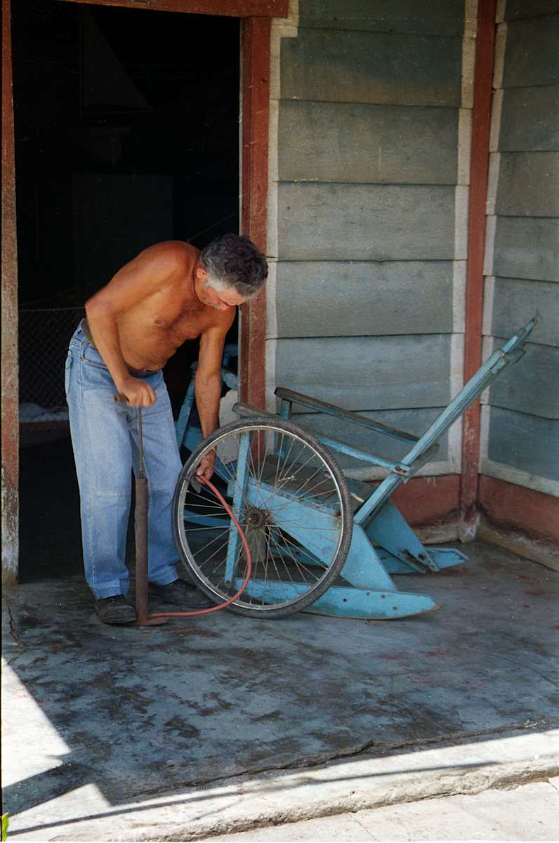 Untitled (Bicycle Wheel) by Daniele Tamagni Foundation 